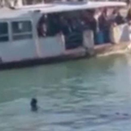 Refugee drowns in Venice canal while onlookers laugh and film it on their phones