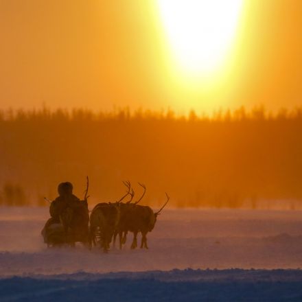The Horrifying Reason Siberia Is Dealing With an Anthrax Outbreak