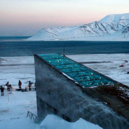 What it's like inside the doomsday vault that stores every known crop on the planet