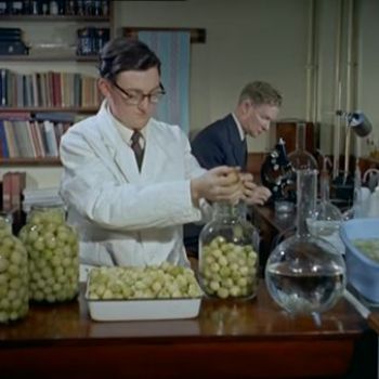 In 1959, British Scientists Carefully Perfected the Pickled Onion