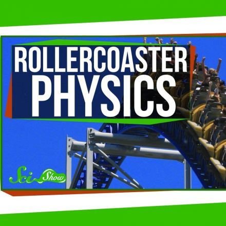 The Physics of Roller Coasters