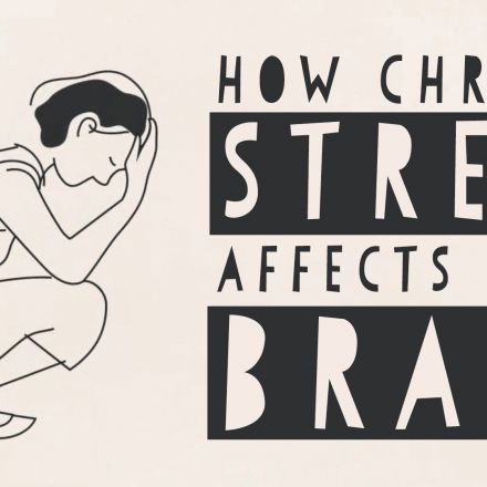 How stress affects your brain.