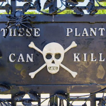 Enter the deadliest garden in the world.