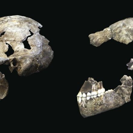 Amazing haul of ancient human finds unveiled