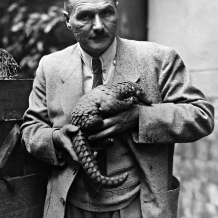 When the Nazis Tried to Bring Animals Back From Extinction