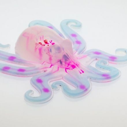 Pneumatic octopus is first soft, solo robot