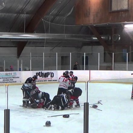 Hockey ref punches player, trainer punches ref
