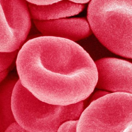 Major breakthrough could lead to mass-produced artificial blood
