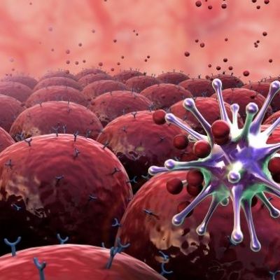 Researchers discover how human immune receptors become activated in the presence of harmful substances