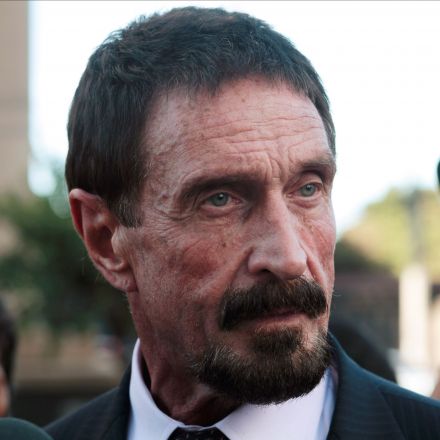 JOHN MCAFEE: The NSA's back door has given every US secret to our enemies