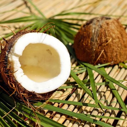The World’s Coconuts Are in Danger
