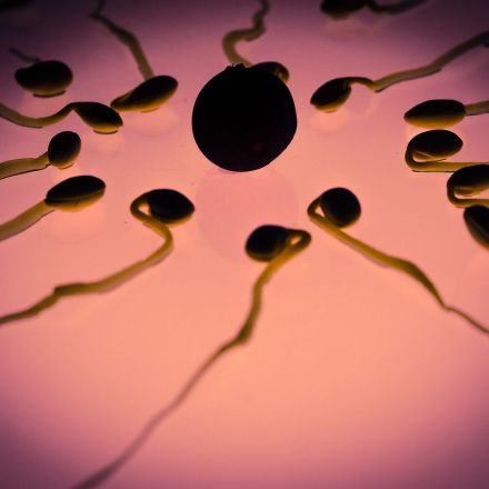 Inside the renewed search for a male contraceptive pill