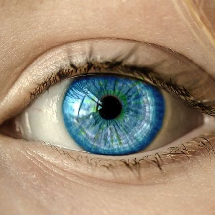 Newly Developed Nanowire Retinal Prosthesis Could Restore Sight to the Blind