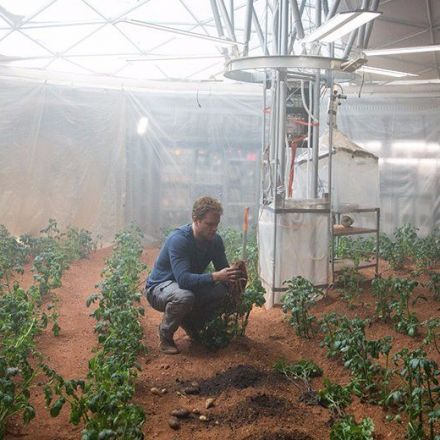 Scientists grew a bunch of vegetables in 'Martian' soil — and they're about to taste them