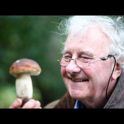 Documentary - The Magic of Mushrooms
