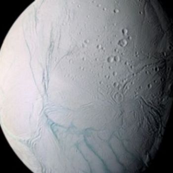 Excitement Builds for the Possibility of Life on Enceladus
