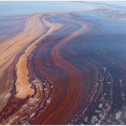 Can we harness bacteria to help clean up future oil spills?
