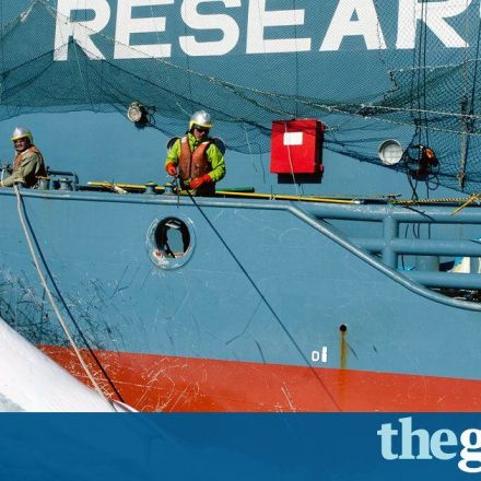 Whaling watchdog shrinks loophole allowing Japan's 'scientific' hunts