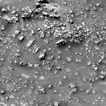 Mysterious Martian "Cauliflower" May Be the Latest Hint of Alien Life