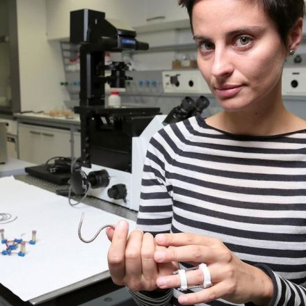 Self-healing thread changes from firm to flexible with just a bit of voltage