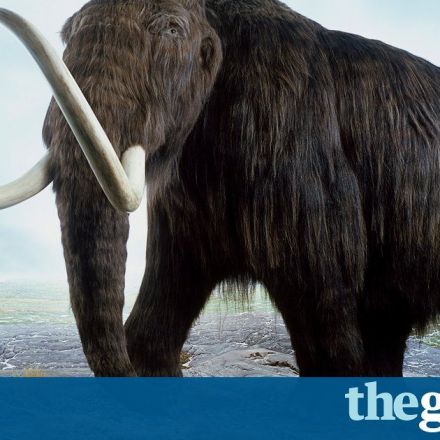 Woolly mammoth on verge of resurrection, scientists reveal