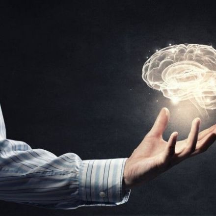 Here's What 'Free Will' Looks Like in Your Brain
