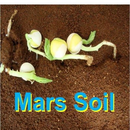 The Martian becomes reality: At least four crops grown on simulated Mars soil are edible