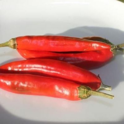 Eating hot chili peppers linked to decreased mortality: Study