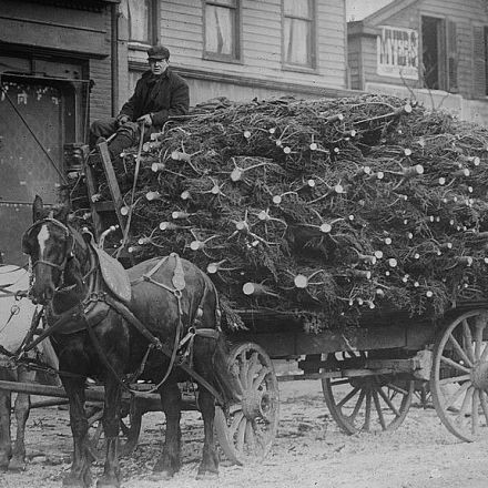 Making Green: The history of New York's Christmas tree market