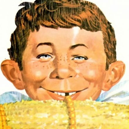 A personal tour of MAD magazine, in the crucible of a young life