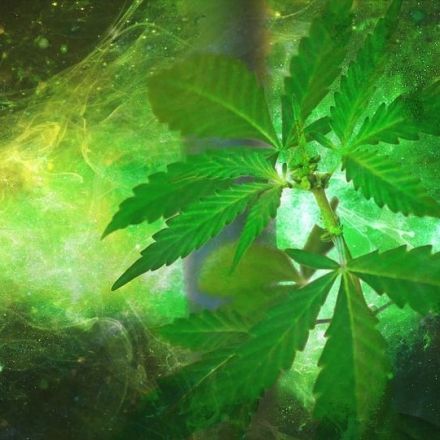 Here Are 100 Scientific Studies Proving Cannabis Cures Cancer