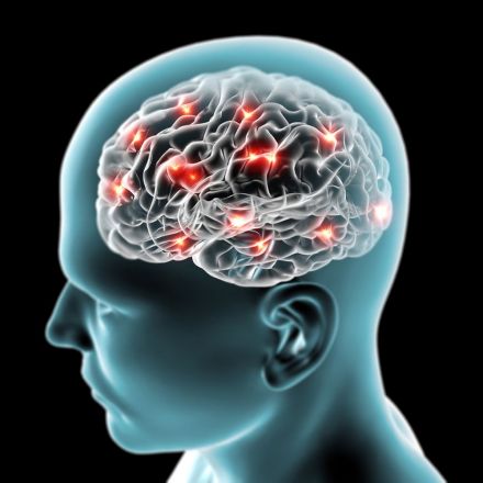 Zapping the Brain at Certain Times Improves Memory