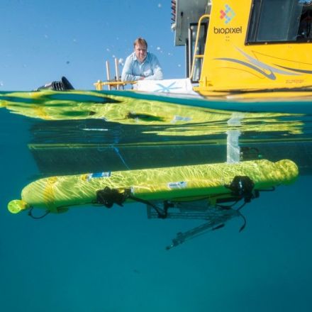 New killer robot set to destroy pests on the Great Barrier Reef
