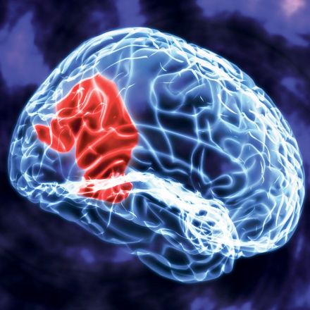 Scientists “Switch Off” Self-Control Using Brain Stimulation