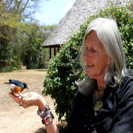 Renowned Conservationist Kuki Gallmann Shot in Kenya