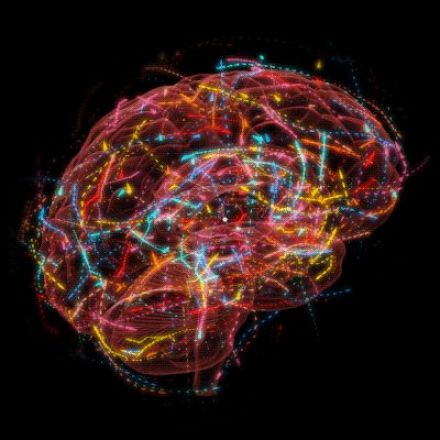 A New Spin on the Quantum Brain