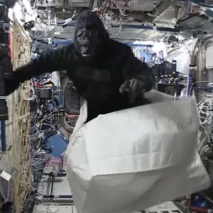 Is that a gorilla on the International Space Station?