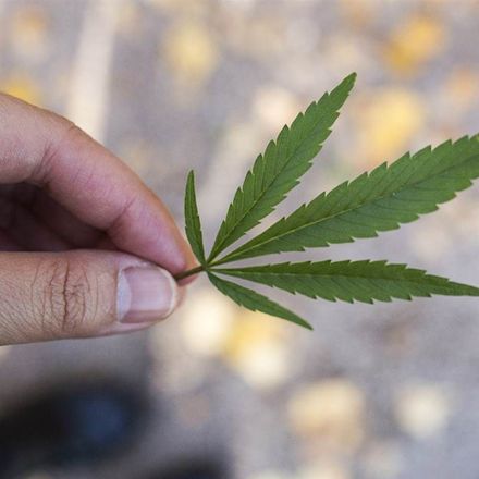 Supreme Court Won’t Referee State Disputes Over Pot