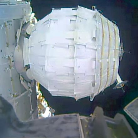 After six months in orbit, that space inflatable habitat is holding up well