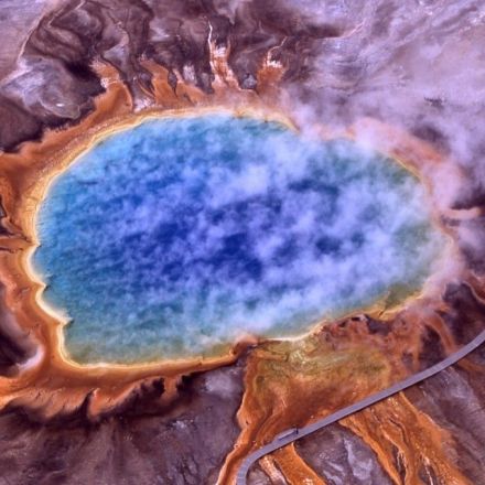 The ‘Dark Matter’ of the Microbial World
