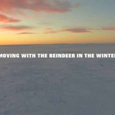 Moving with the reindeer in the winter
