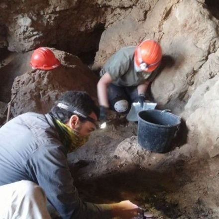 New Dead Sea Scroll cave found near Qumran, but scrolls are gone