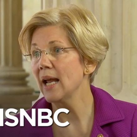 Elizabeth Warren: Republicans Don't Want To Hear The Facts | MSNBC