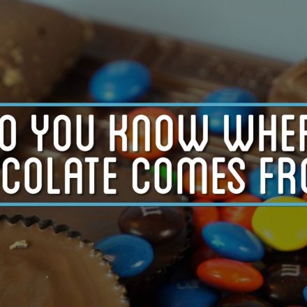 Do You Know Where Chocolate Comes From?