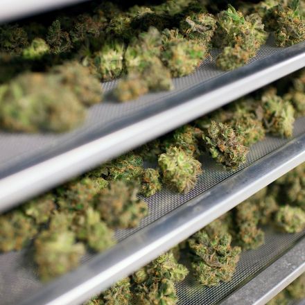 The Average Legal Pot User Spends $647 a Year on Weed