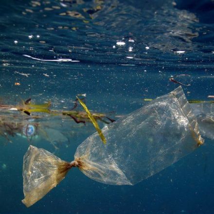 England's plastic bag usage drops 85% since 5p charge introduced