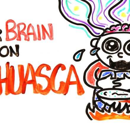 Your Brain on Ayahuasca: The Hallucinogenic Drug