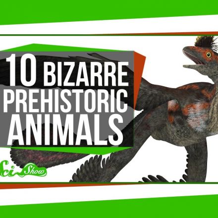10 Strange-Looking Prehistoric Animals