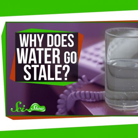 Why Does Water Go Stale Overnight?
