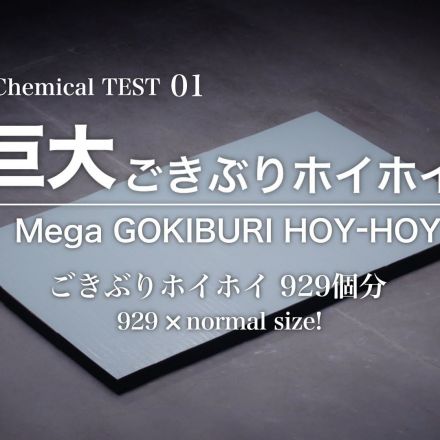 Mega GOKIBURI HOY-HOY ad